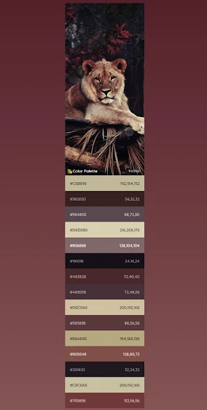 Color Palette Screenshot 3