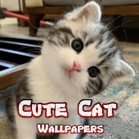 Cute Cat Wallpapers