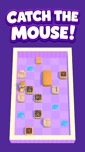 Catch the Mouse! Screenshot 3