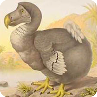 Extinct animals