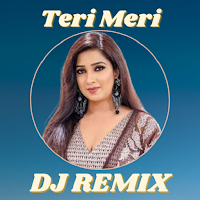 DJ India Teri Meri Remix