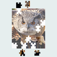 Jigsaw Puzzle