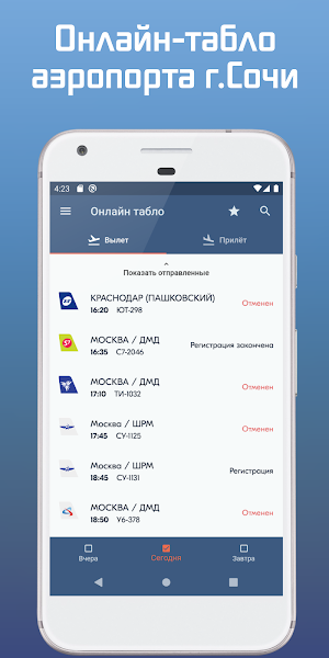 Сочи Аэропорт Screenshot 0