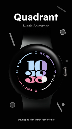 Quadrant - Animated Watch Face Screenshot 0