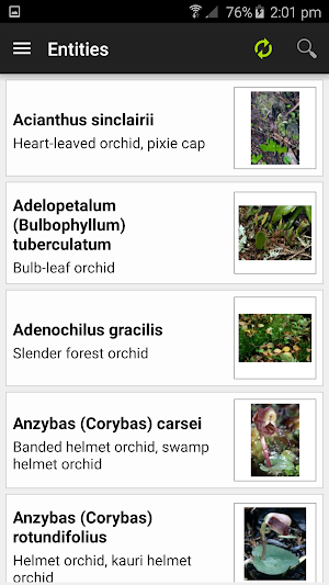NZ Orchid Key Screenshot 2