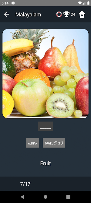 Malayalam Language Tests Screenshot 3