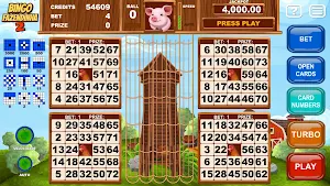Video Bingo Little Farm 2 Screenshot 3