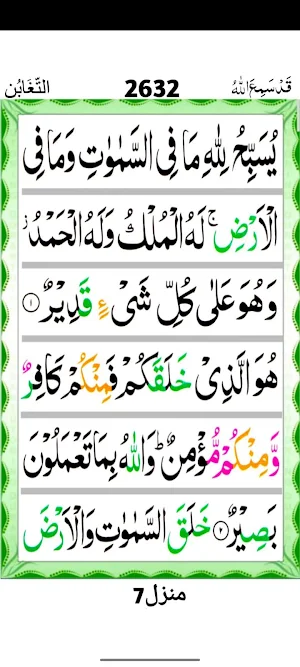 Surah At Tagabun Screenshot 2