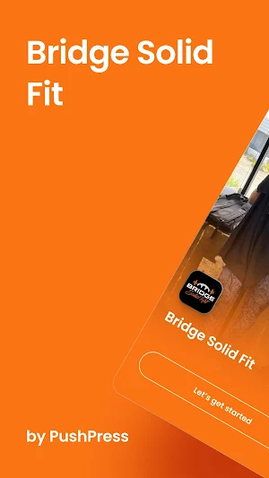 Bridge Solid Fit Screenshot 0