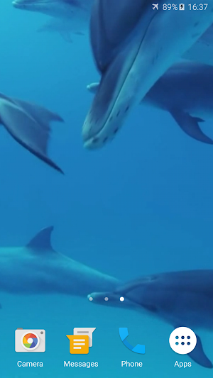 Dolphins Live Wallpaper Screenshot 2