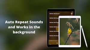 Warbler Bird Sounds Screenshot 2
