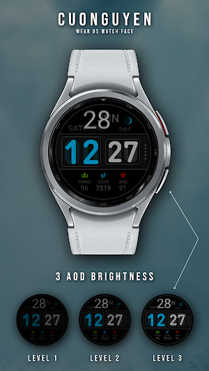 Watch face CNW0031 Screenshot 1