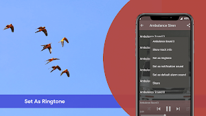 Parrot Sounds - Natural Parrot Sounds Ringtone Screenshot 3