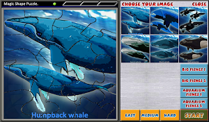 Magic Shape Puzzle 3 Screenshot 1