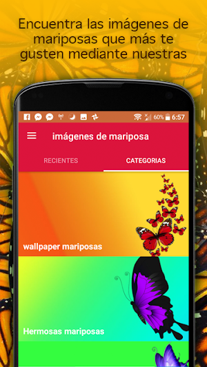 images of butterflies Screenshot 3