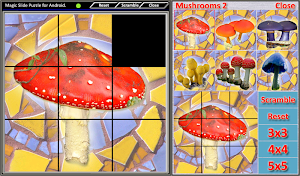 Magic Slide Puzzle Mushrooms 2 Screenshot 1