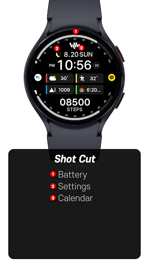 SamWatch InfoColor 2024 Screenshot 2