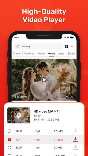 All Video Download Screenshot 0