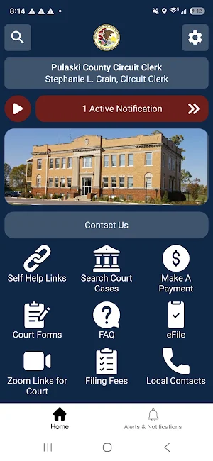 Pulaski CO Circuit Clerk, IL Screenshot 0