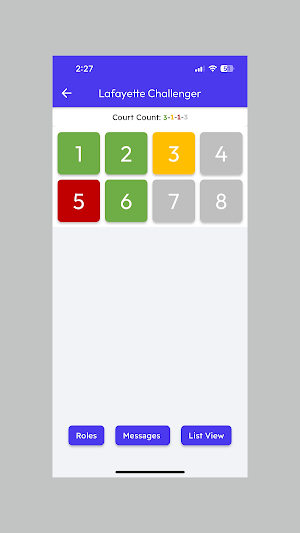 TournaTennis Screenshot 2