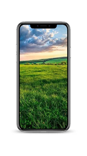 Meadow Gambar Screenshot 1