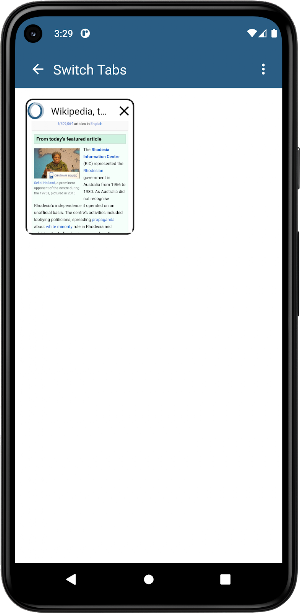 Hirehike Web Browser Screenshot 3