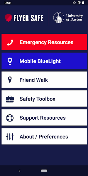 Flyer Safe Screenshot 0