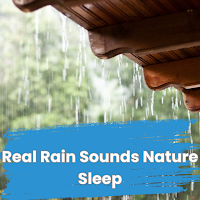Real Rain Sounds  Nature Sleep