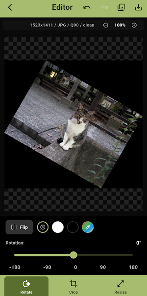写真リサイズPlus 〜画像のサイズ変更・拡大・縮小・回転〜 Screenshot 2