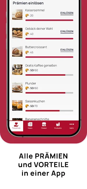 DANECKER Screenshot 1