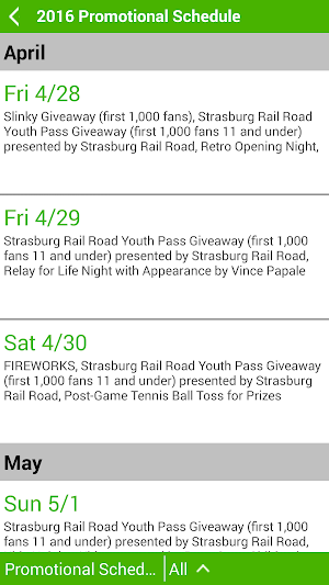 Lancaster Barnstormers Screenshot 3