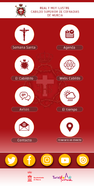 Cabildo Murcia Screenshot 0