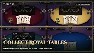 Turup 29 - Card Game Online Screenshot 3