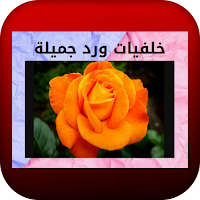 خلفيات ورد جميلة