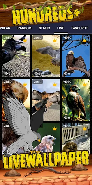 bird of prey wallpaper Screenshot 2
