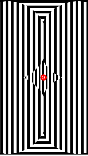 Optical illusion Hypnosis Screenshot 2