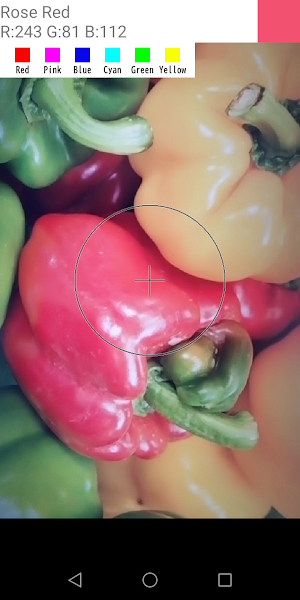 Color Vision Helper Screenshot 1