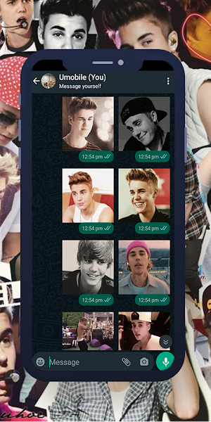 Justin Bieber GIF WASticker Screenshot 1