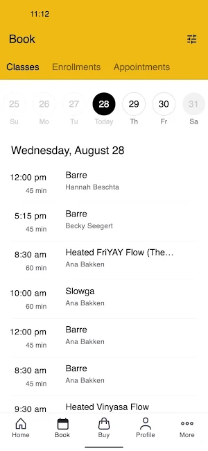Birder on Broadway Screenshot 1
