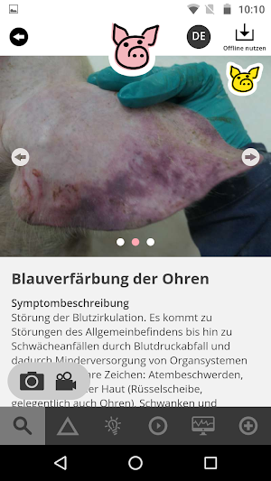 FitForPigs Screenshot 3