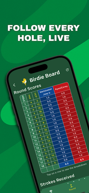 Birdie Board Screenshot 3