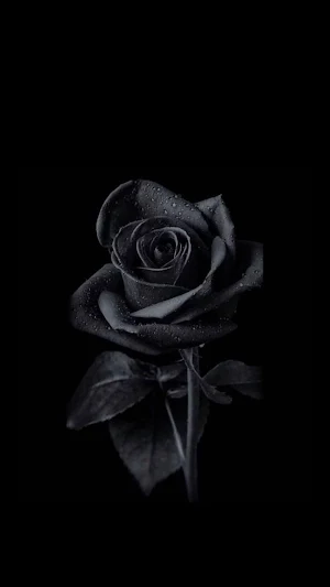 Black Wallpapers Screenshot 0