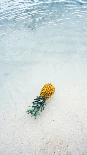 Pineapple Wallpaper Screenshot 3