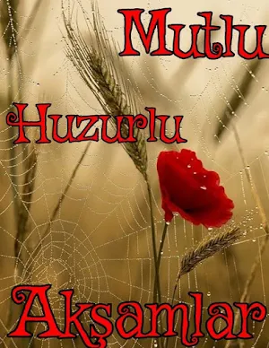 Mutlu akşamlar Screenshot 2