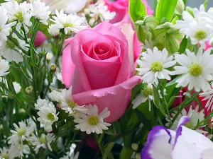 Flowers Wallpaper - Collection 1 Screenshot 2
