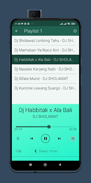 Dj Sholawat Lontong Tahu Screenshot 3