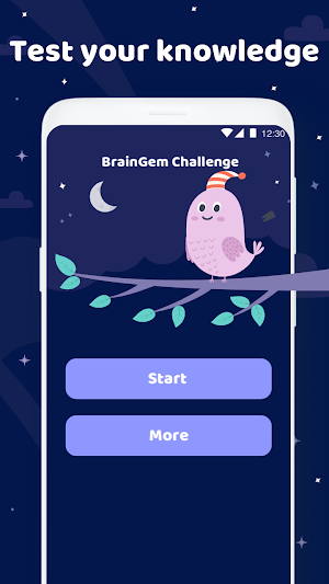 BrainGemChallenge Screenshot 0
