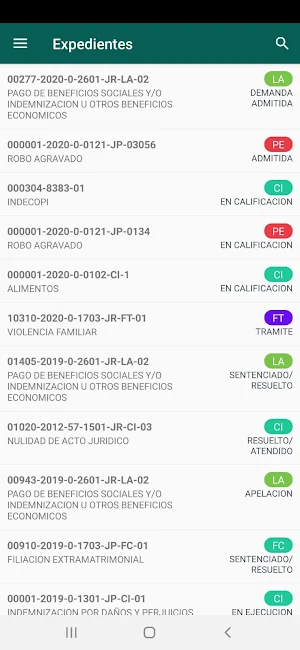 Despacho.pe Screenshot 2