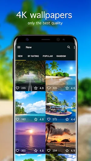 Summer Wallpapers 4K Screenshot 0