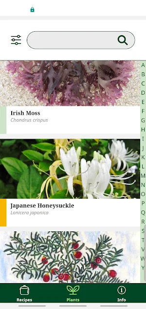 Foraging with the Wildman Screenshot 0